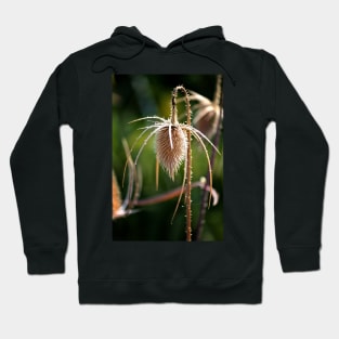 Bowed Head Hoodie